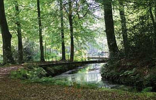 Stania State outside