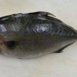 Bospaviljoen De Woudstee Boisson