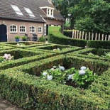 Lutske's Theetuin Extérieur