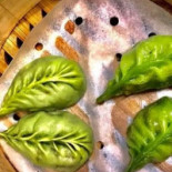 Lutske's Theetuin Nourriture