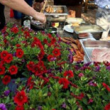 Zaal Reimink Heeten Exterior