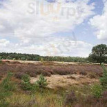 De Heksenboom Extérieur