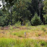 De Heksenboom Extérieur