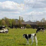 Havencafé De Pyramide Extérieur