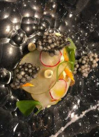 Haje Afsluitdijk Zurich B.v. Zurich Comida