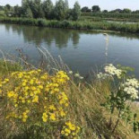 Rustwat Aan De Linge Exterior