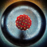 Haiven 54 Hindeloopen Bebida