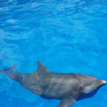 Ter Kade B.v. Sluis Boisson