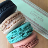 Graphite By Peter Gast Bebida