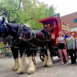 Frenchette Extérieur