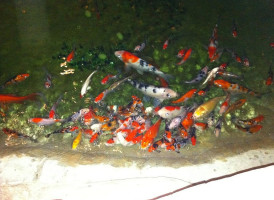 La Table Des Templiers Exterior