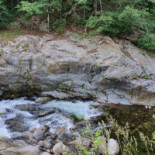 Dragon D'or Extérieur