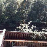 La Flobette Extérieur