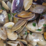 Le Zoute Zoen Boisson