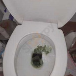 Brasserie De Gilde Extérieur