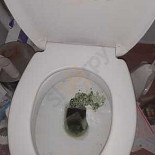 Brasserie De Gilde Extérieur