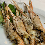 Monster Grill Comida