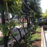 Café De Molekens Extérieur