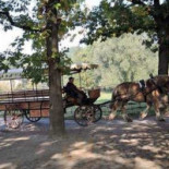 Caffè Barbossa Außen