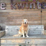 Caffè Barbossa Getränk