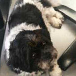 L'envers Du Décor Nourriture