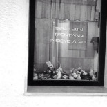 Tearoom T Voske Boisson