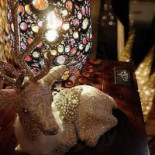 Balls Glory Brussel Beurs Boisson