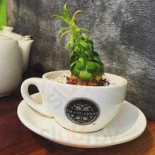 Karakter Huis Met Een Grote Tuin In Een Rustige Omgeving Be-6890-34 Comida