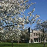 Davidels Ploegsteert Outside