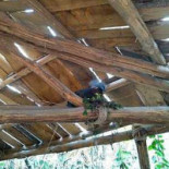 Oasis Pairi Daiza Extérieur