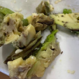 Oasis Pairi Daiza Nourriture