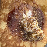 Il Vesuvio Nourriture