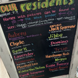 Den Tram Burger Ribs Carta