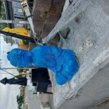 't Vliegveld Extérieur