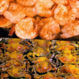 Mr Falafel Nourriture