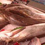 Le Beaulieu Nourriture