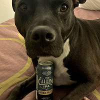 Den Perenboom Bebida