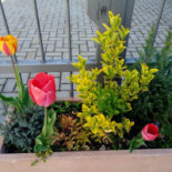 Le Mémorial Extérieur