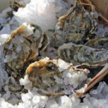 Oesterbar.be Nourriture