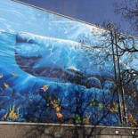 Terre De Feu Extérieur