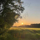 Chateaubriand Exterior