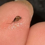 Val De La Cascade Bebida