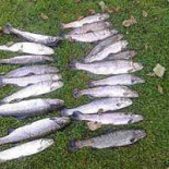 Café De La Lanterne Exterior