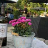 De 9 Peperbollen Extérieur