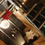 Poule Poulette Leuven À l'intérieur