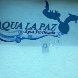 Pizzeria San Pitoni Boisson