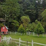 Gecko Thai Kitchen Take Away Extérieur