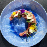 Biestro H-eat Nourriture