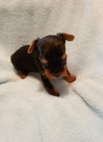 Bon Horecabedrijf Vinkeveen drink