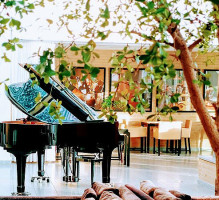 Frituur De Katrolle Bebida